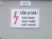 Tele: phuongcutee