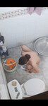 Dì ruột ơn 40 mu long ti cứng nhìn nứng