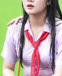 Soi 176