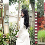 Bưởi beo lai 2008