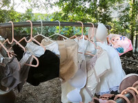 Quần áo lót cho anh chị em càn