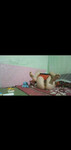 Em gái mưa ntt thảo vĩnh ph