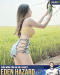 Các anh ăn xoài không em hái cho