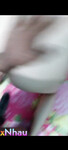 +1 ảnh