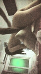 sinhvien1