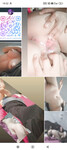 Nhiều album mua ib zl 0794255985
