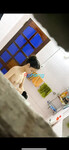 Sưu tầm