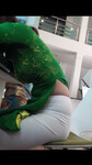 Sưu tầm