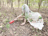 cosplay 软萌兔兔酱 (SweetRabbit233) Nahida - Genshin Impact