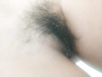 Bướm em