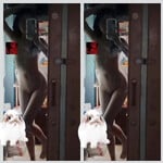 Full Album Ảnh Nude Show Hàng Của Bé HS Non Tơ Mình Dây
