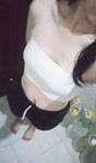 thanh vy - chu văn an