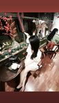 Mai Thảo Nhi Con Hàng Bay Xả Cực Xinh