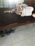 Cô út đang ngủ