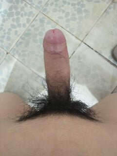 Xin nhận xét