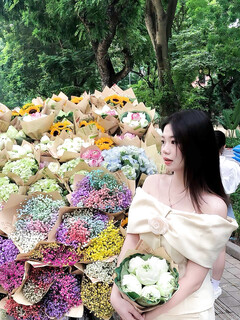 Tô Ánh Nguyệt